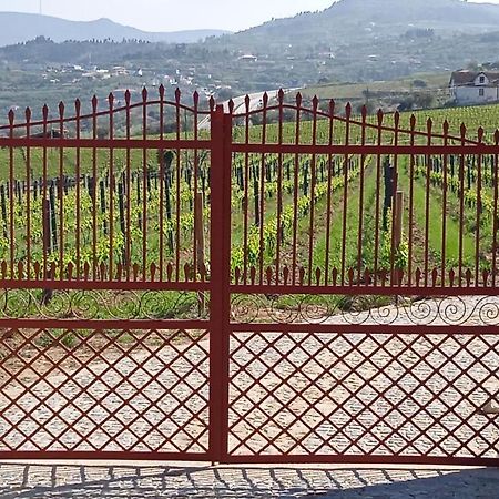 Villa Quinta Do Passadico Lamego Exterior foto