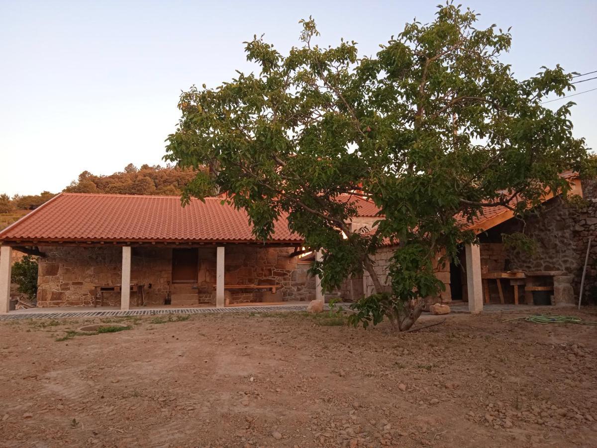 Villa Quinta Do Passadico Lamego Exterior foto