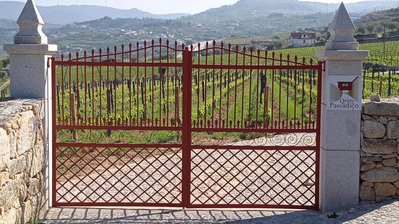 Villa Quinta Do Passadico Lamego Exterior foto