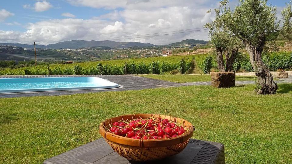 Villa Quinta Do Passadico Lamego Exterior foto